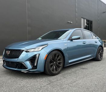 Paint Protection