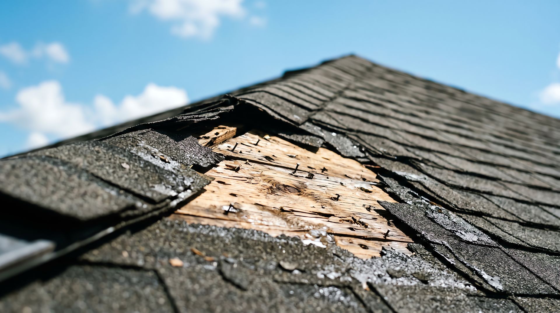 Storm-damaged asphalt shingles torn away near a roof ridge, exposing bare wood decking