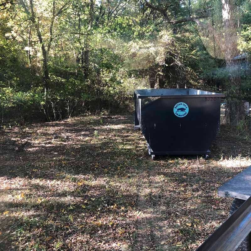 Black dumpster in a wooded yard with sunlit trees and scattered leaves