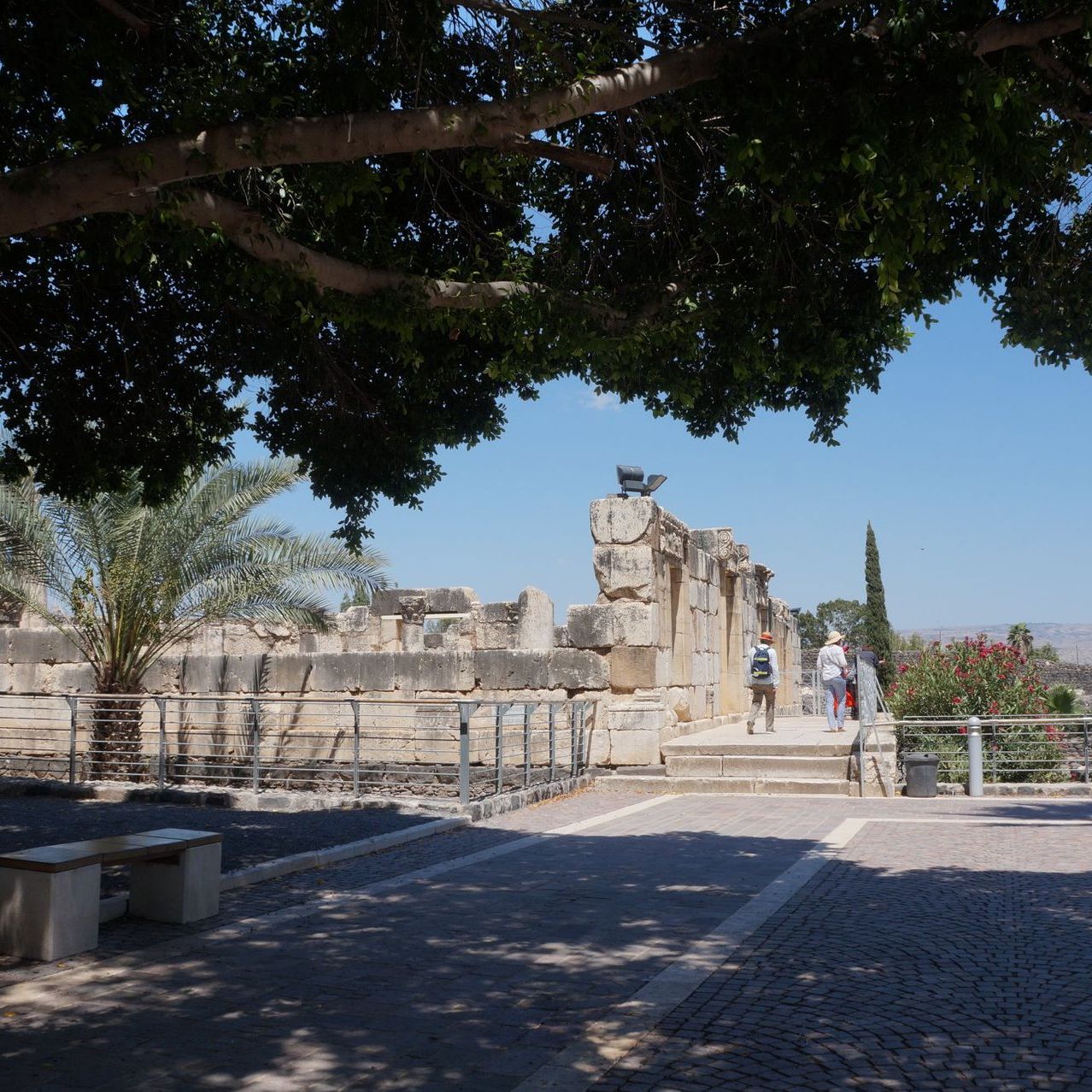 ruins of Capernaum