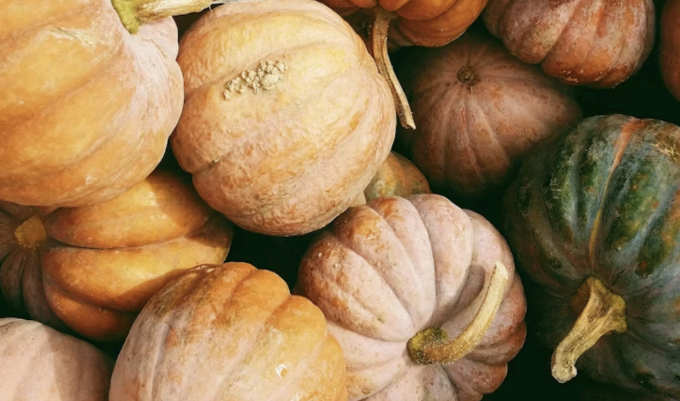 Assorted orange and green pumpkins piled together