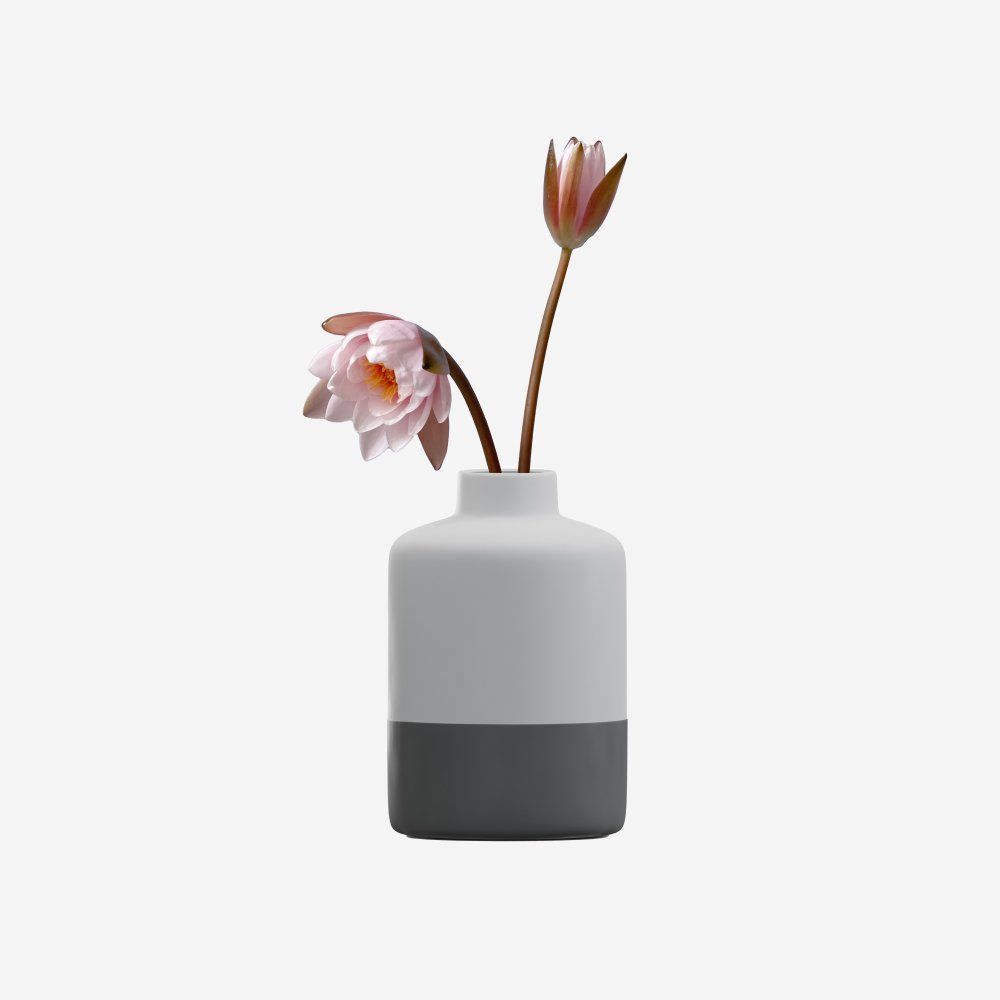 A white vase with a black base on a white background.