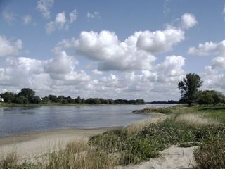 Landschaften An der Elbe bei Rogätz