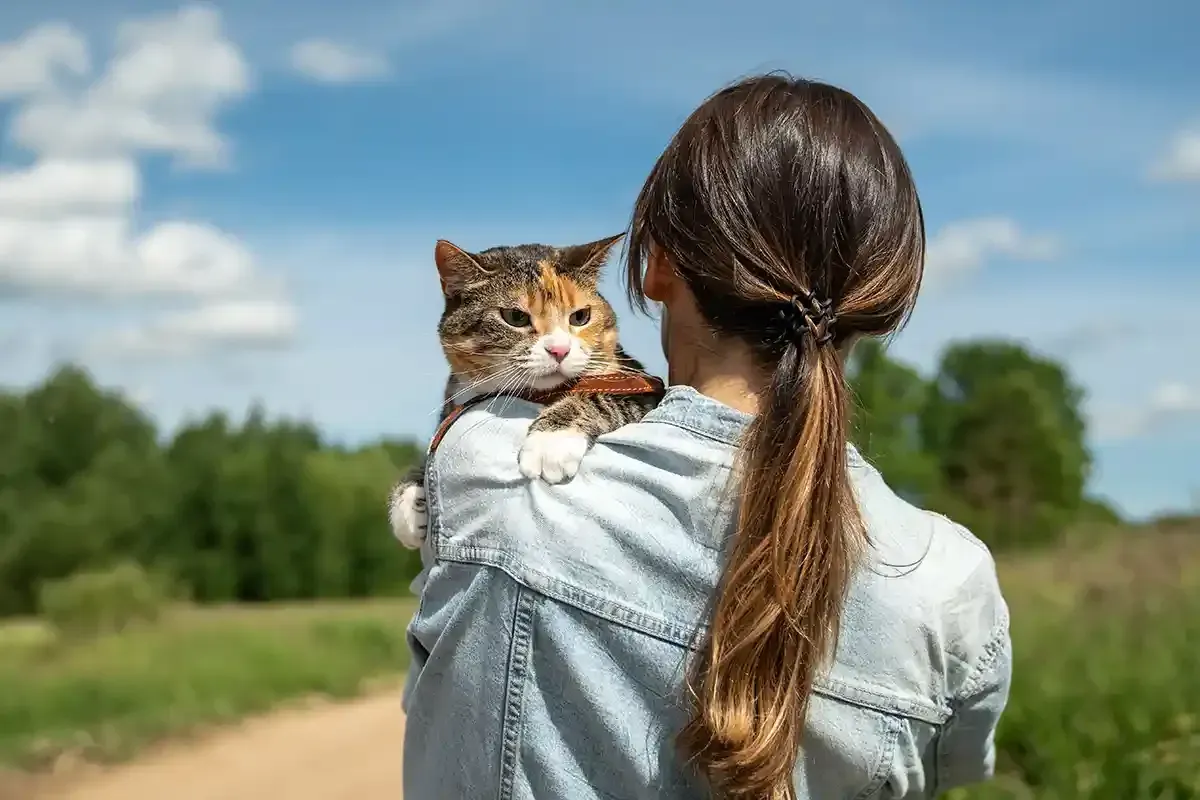 Person in denim jacket holding a cat outdoors on a dirt path with green fields and blue sky.
