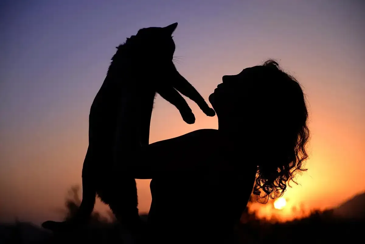 Silhouette of a person holding up a cat against a sunset sky