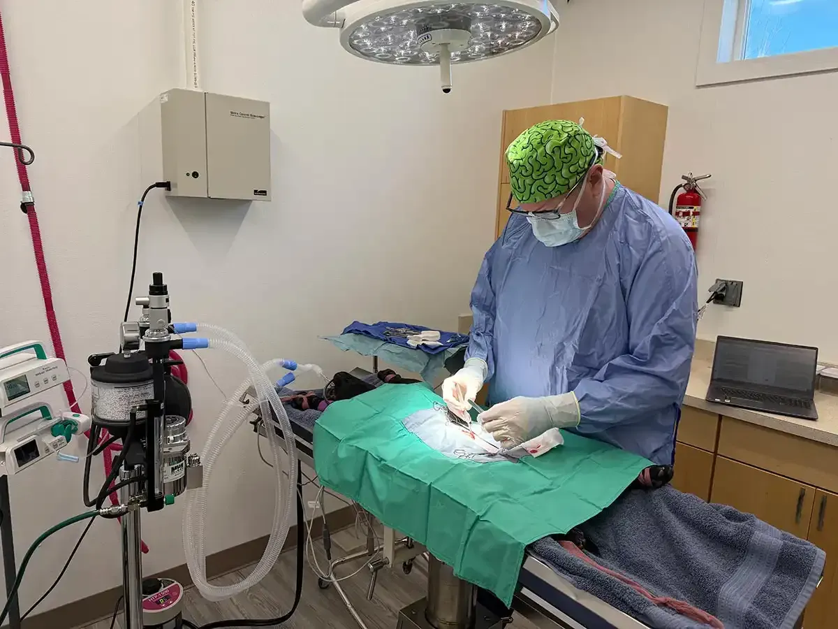Surgeon performing a procedure in an operating room, wearing scrubs, mask, gloves, and cap.