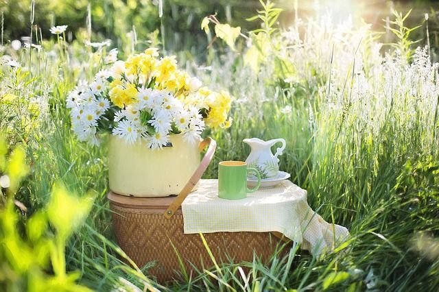 HOW TO PACK THE PERFECT PICNIC, AND WHERE TO GO  | Autotrend Auto Repair