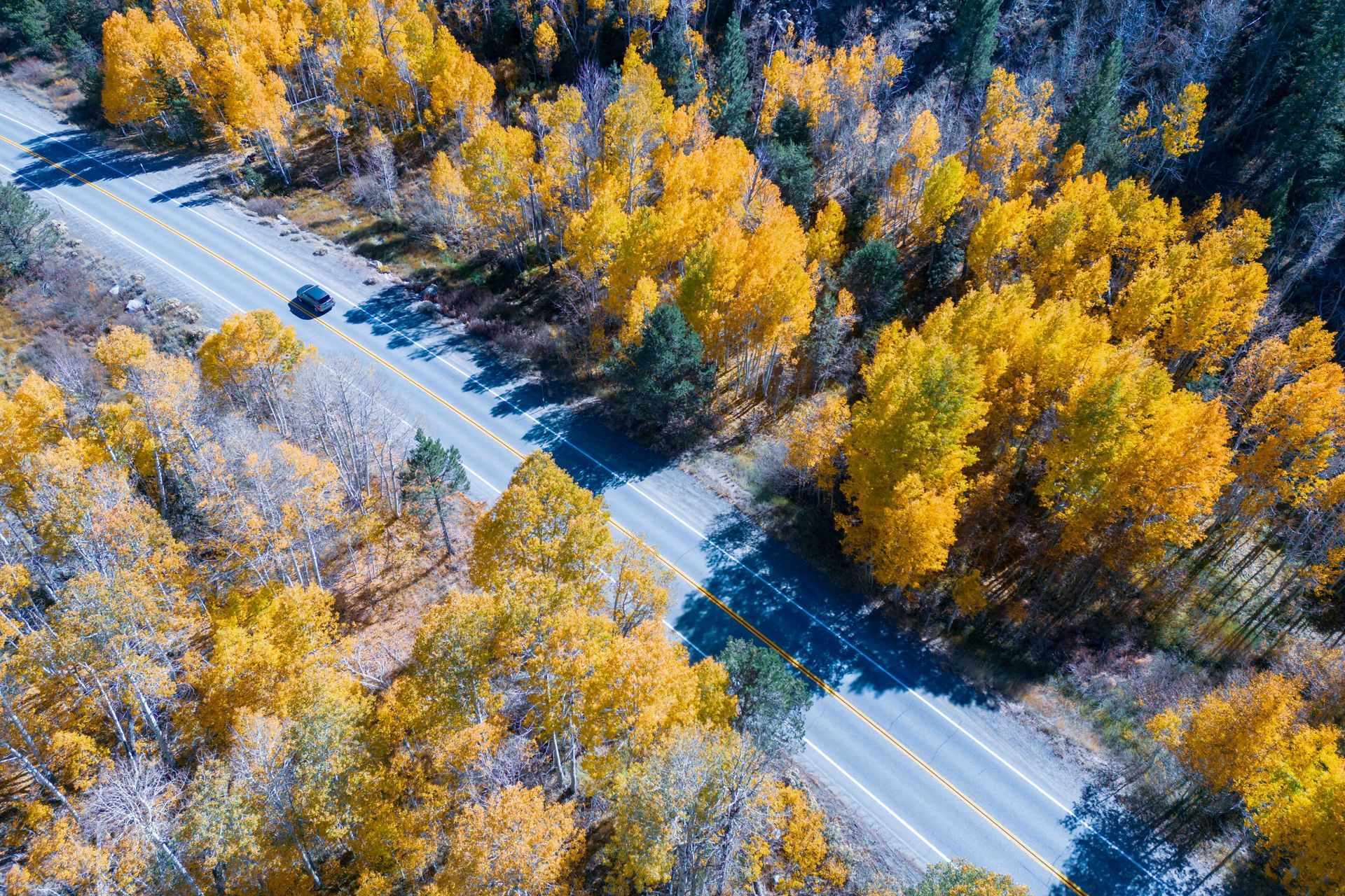 fall