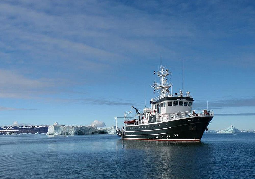 Black and white ship on calm blue sea with icebergs and snowy coastline under a clear sky