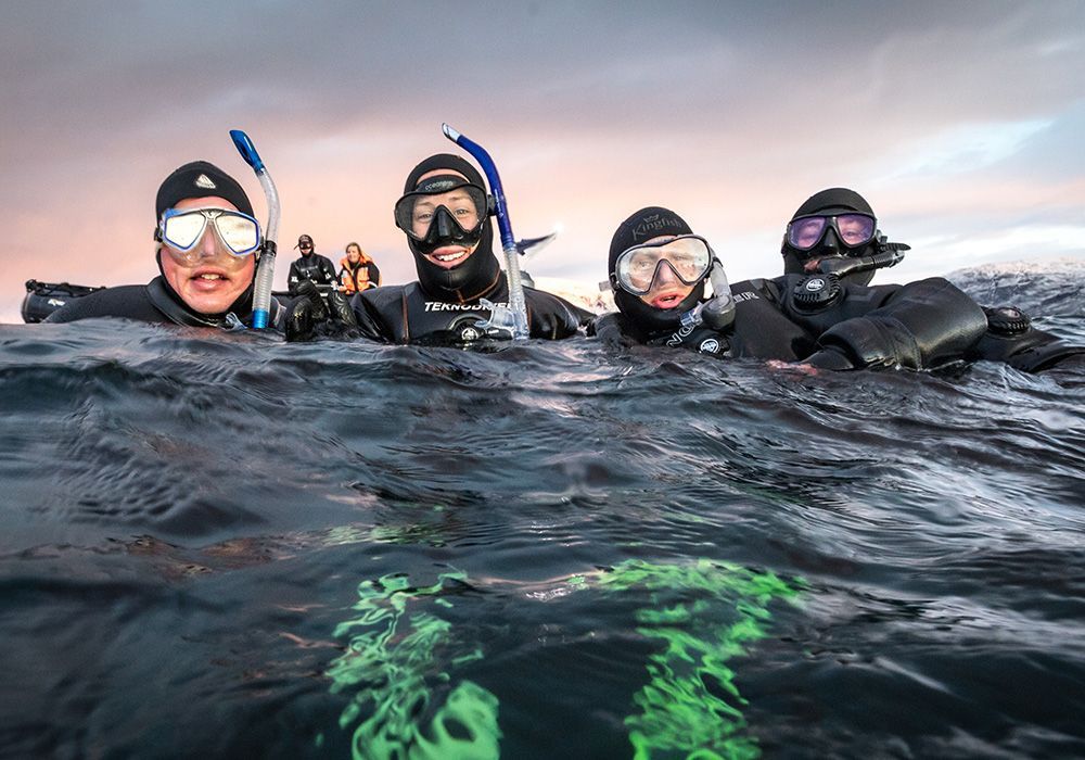 Swim with Orcas Four snorkelers bob in open water at sunset, wearing masks and snorkels, with fins visible beneath the surface.