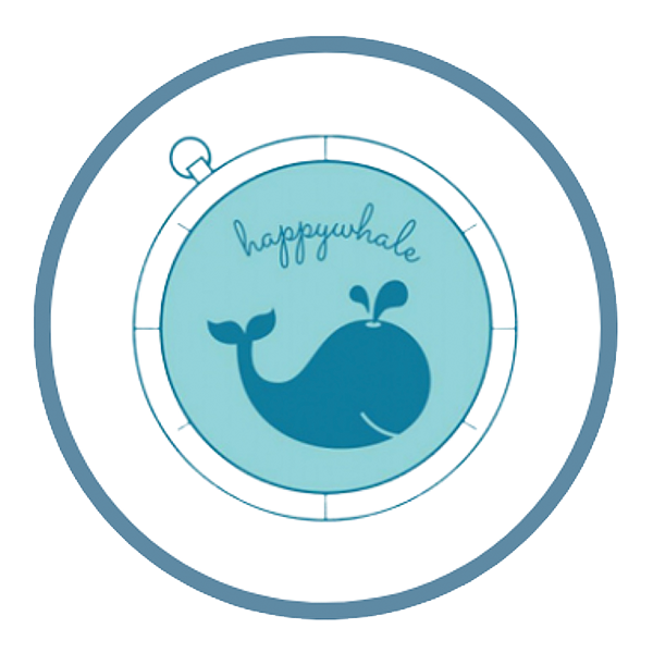 happy whale