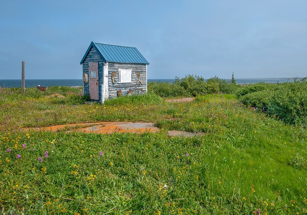 Small white shed with a blue roof in a grassy field under a cloudy sky.