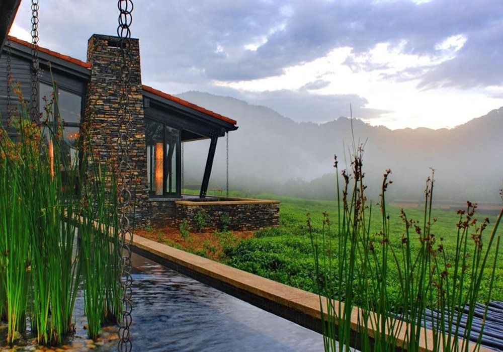 Nyungwe House