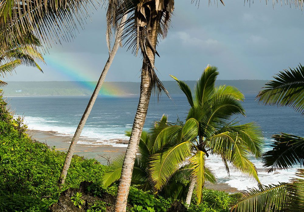 Rainbow over ocean, viewed through palm trees and lush greenery.