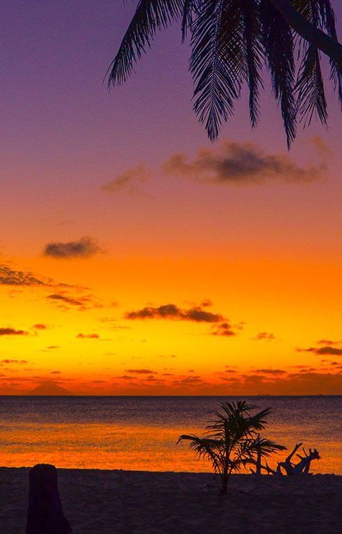 Sunset over a calm beach with silhouetted palm trees and orange-pink sky