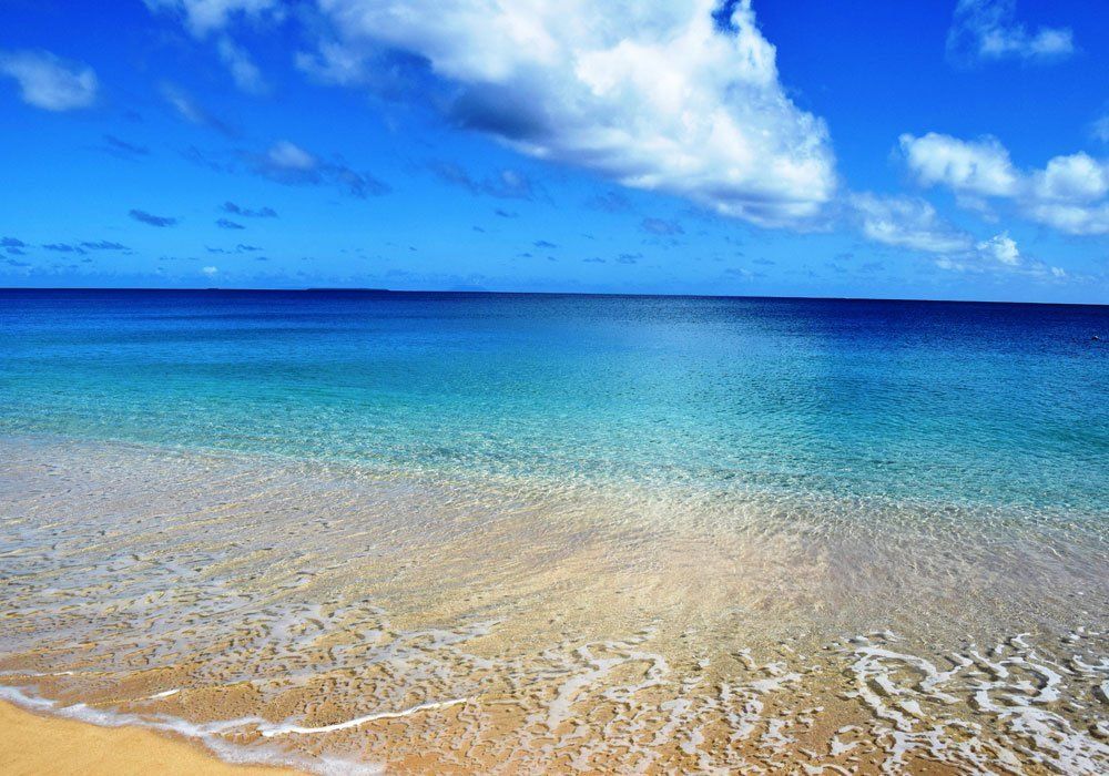 sea shore sea shore