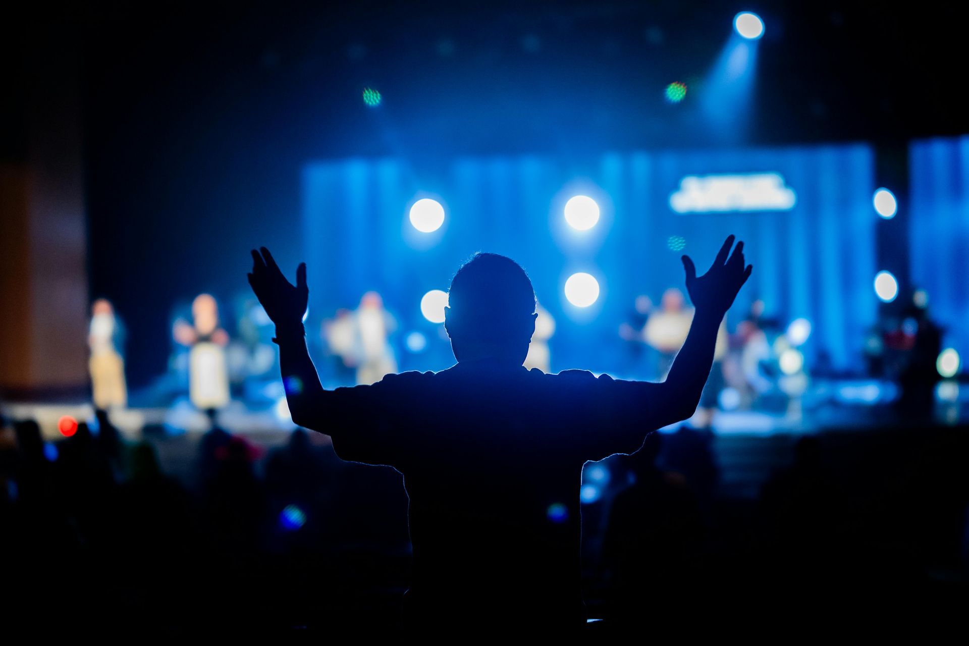 Silhouette of a person with raised arms facing a blue-lit concert stage with performers blurred in the background