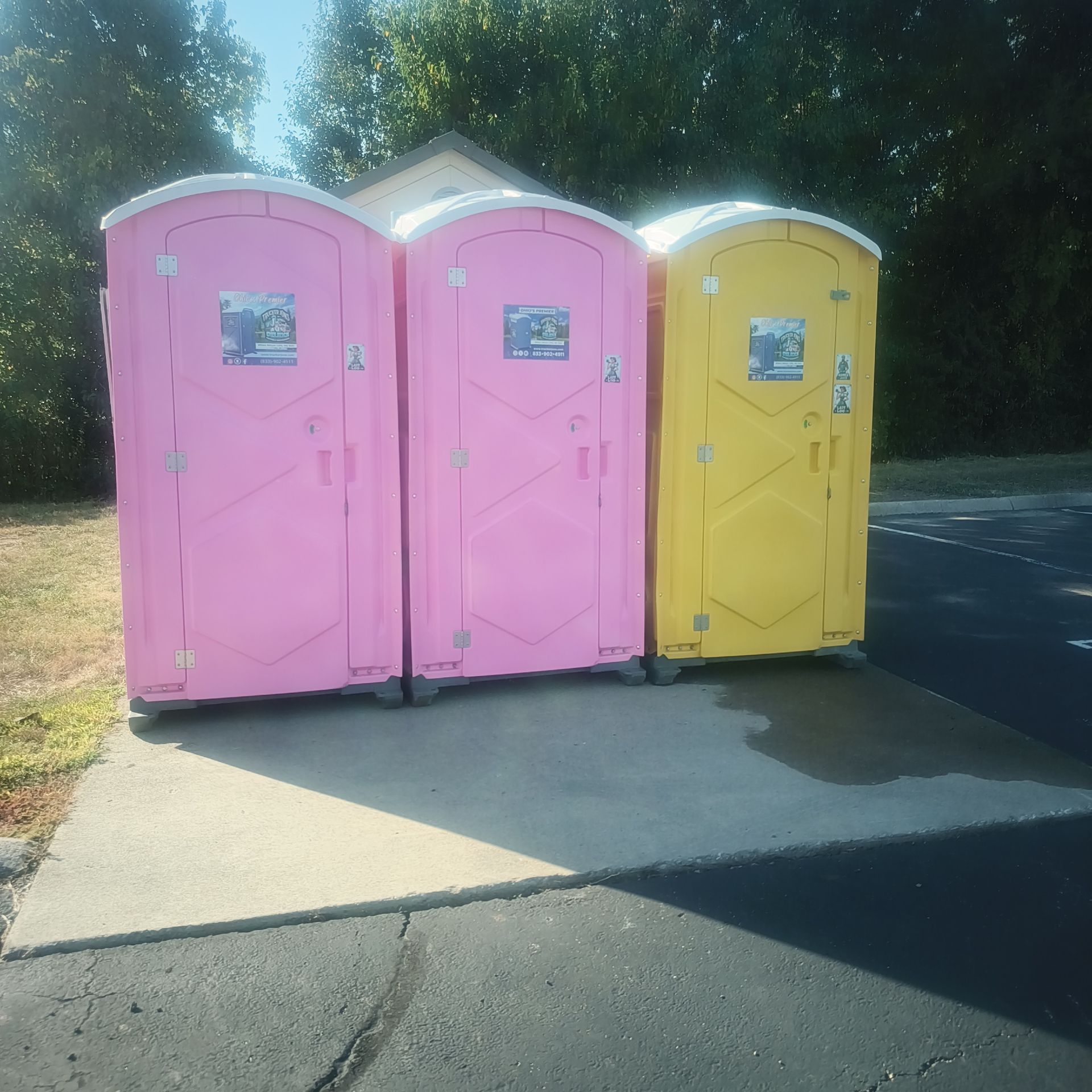 Two pink and one yellow portable toilets lined up outdoors in the sunlight.