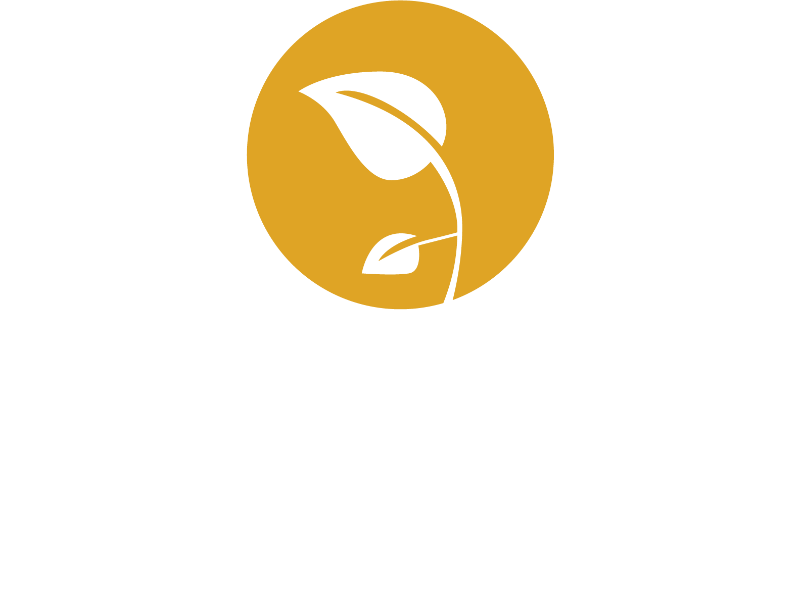 LANDSCAPE DESIGN
