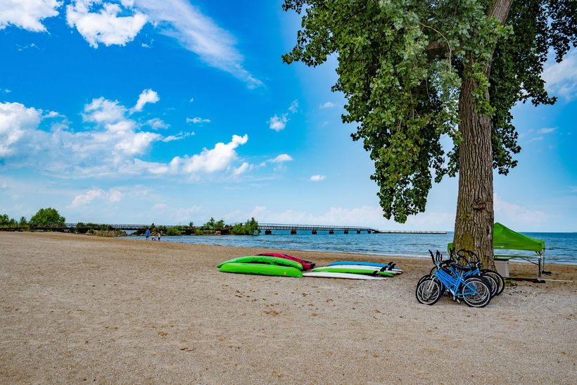 Kayaks on a sandy beach beside a tree, with a bicycle and calm water under a blue sky