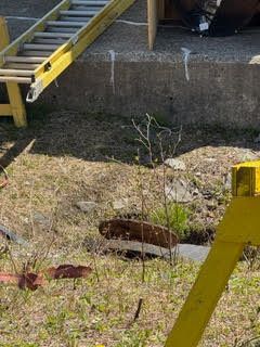 Yellow railing beside a concrete wall and drainage ditch with sparse weeds and dry ground