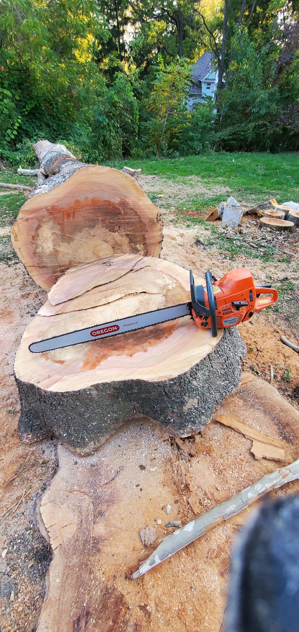 A chainsaw rests on a tree stump in a wooded yard, with a rock and orange cord nearby.