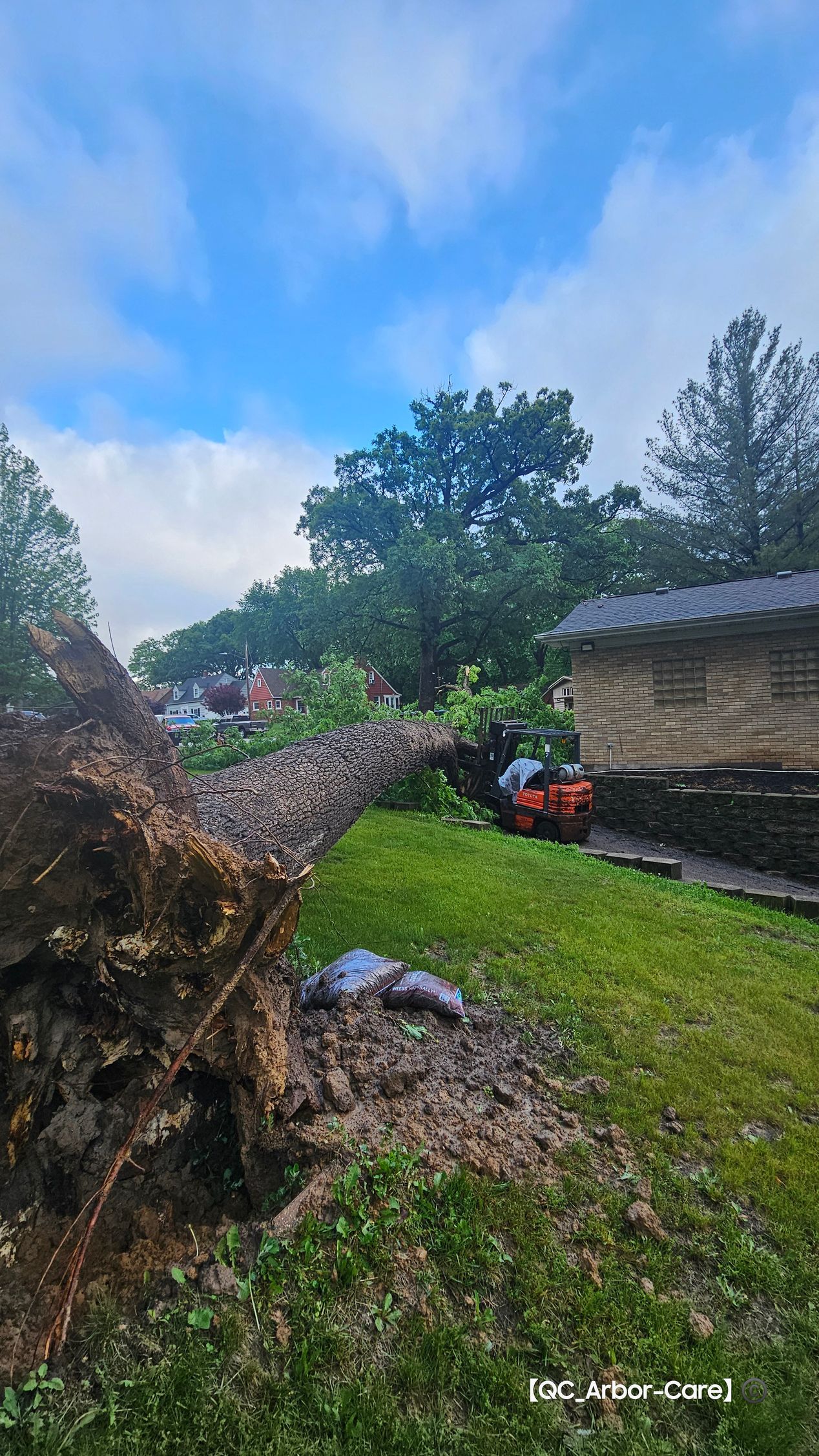 Arborist wearing safety gear using a chainsaw to trim a tree branch near a fence.