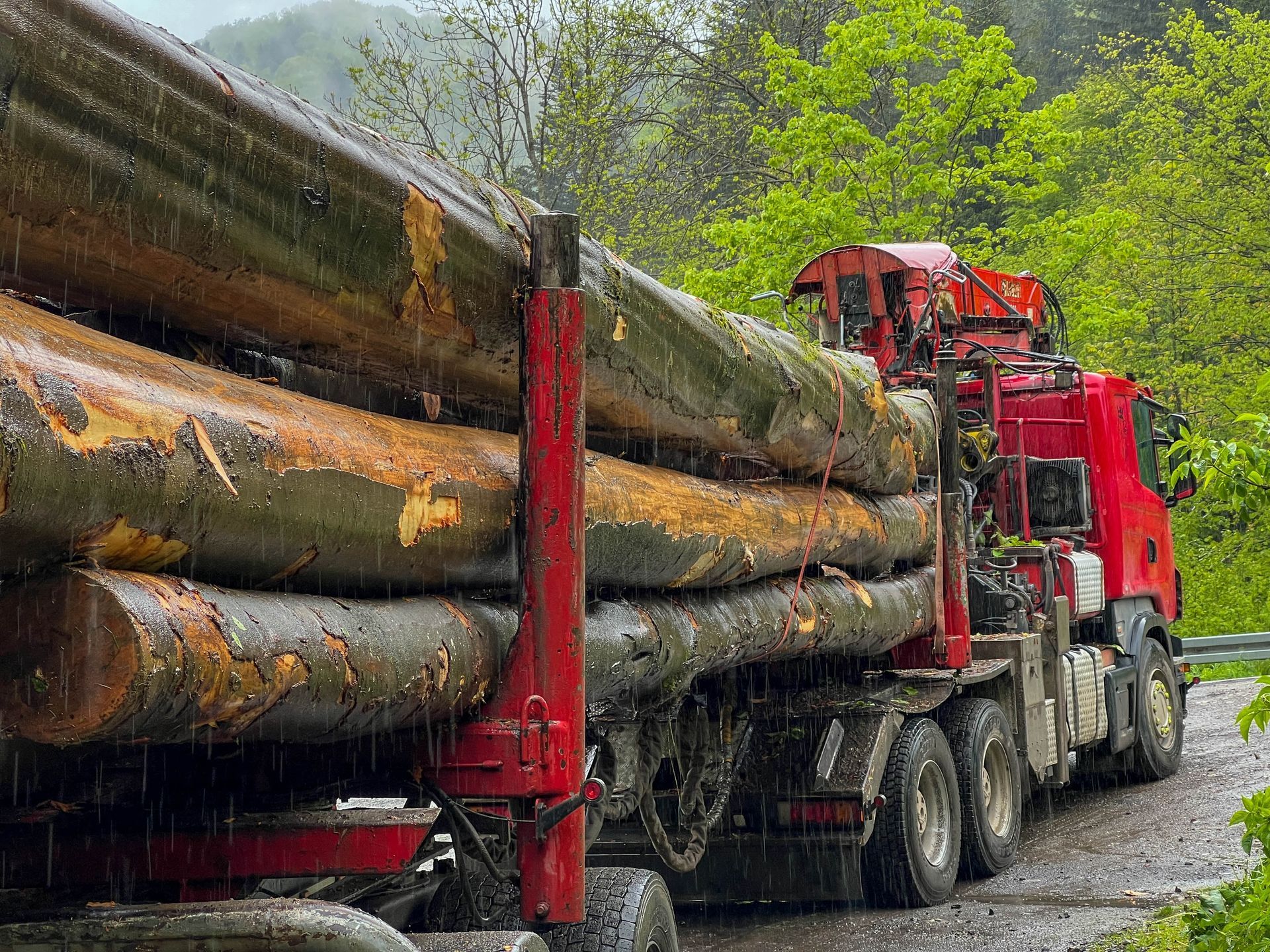 Timber Harvesting