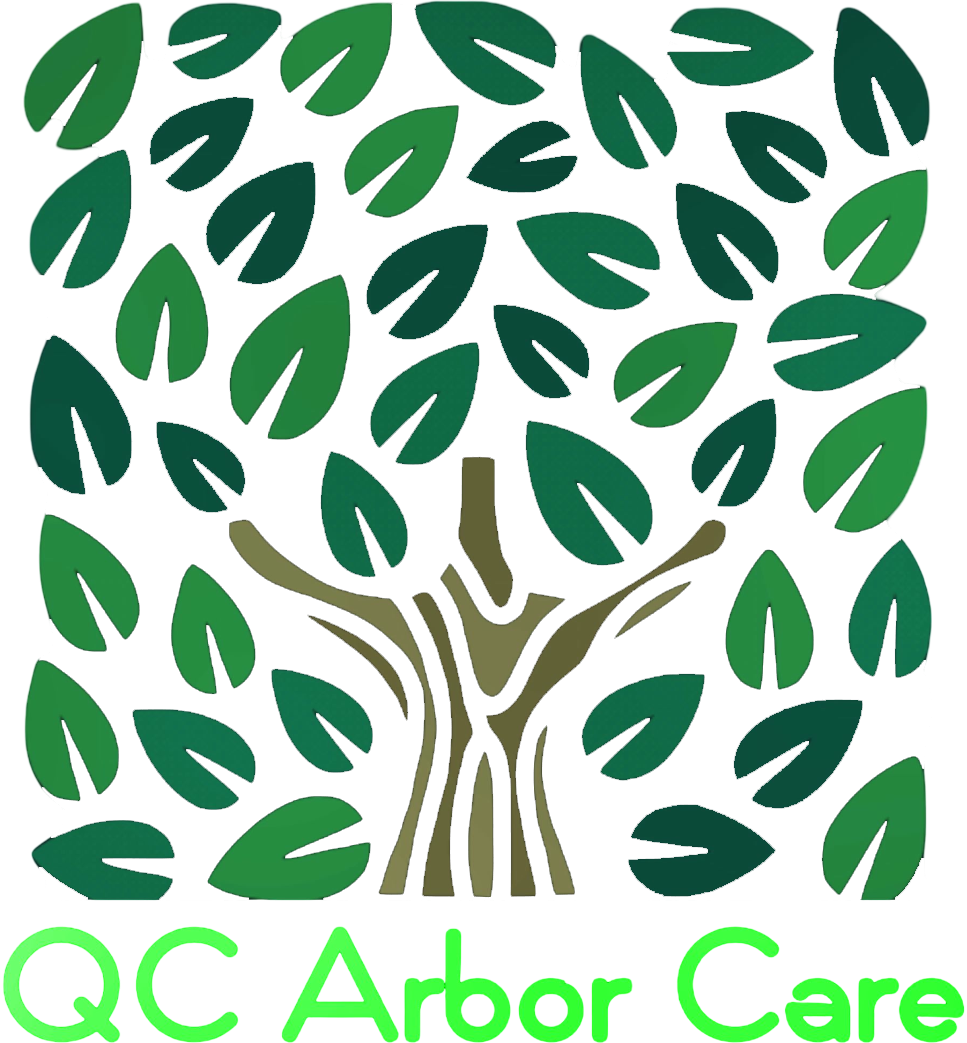 QC Arbor Care QC Arbor Care