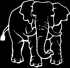 Witte omtrek van een olifant op een zwarte achtergrond.