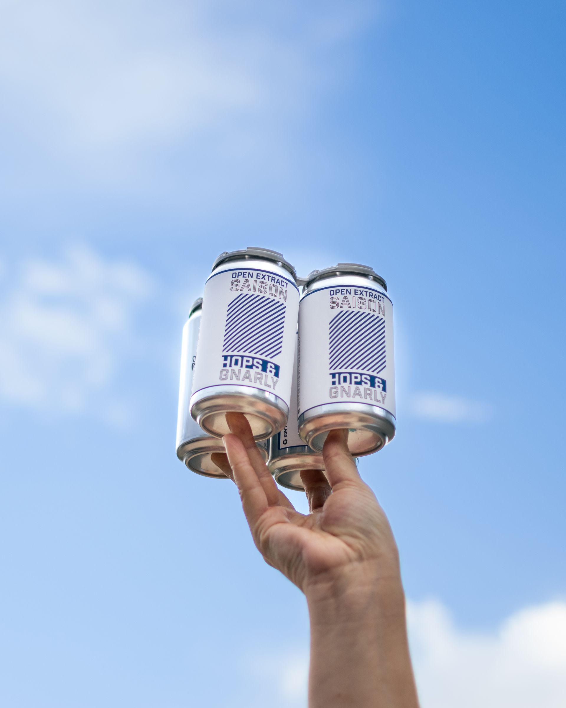 hops & gnarly 4 pack of beer 