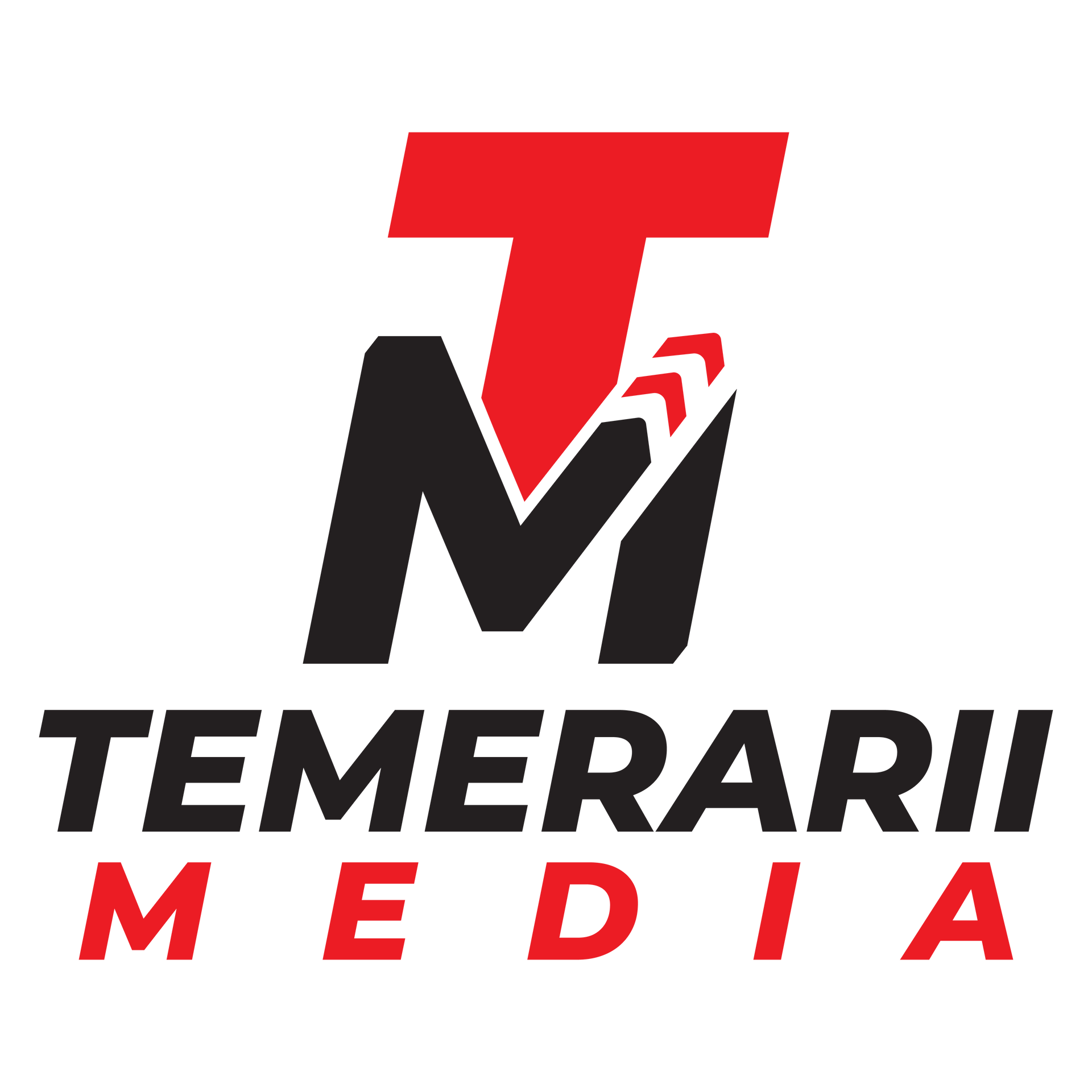 A logo for a company called temerarii media
