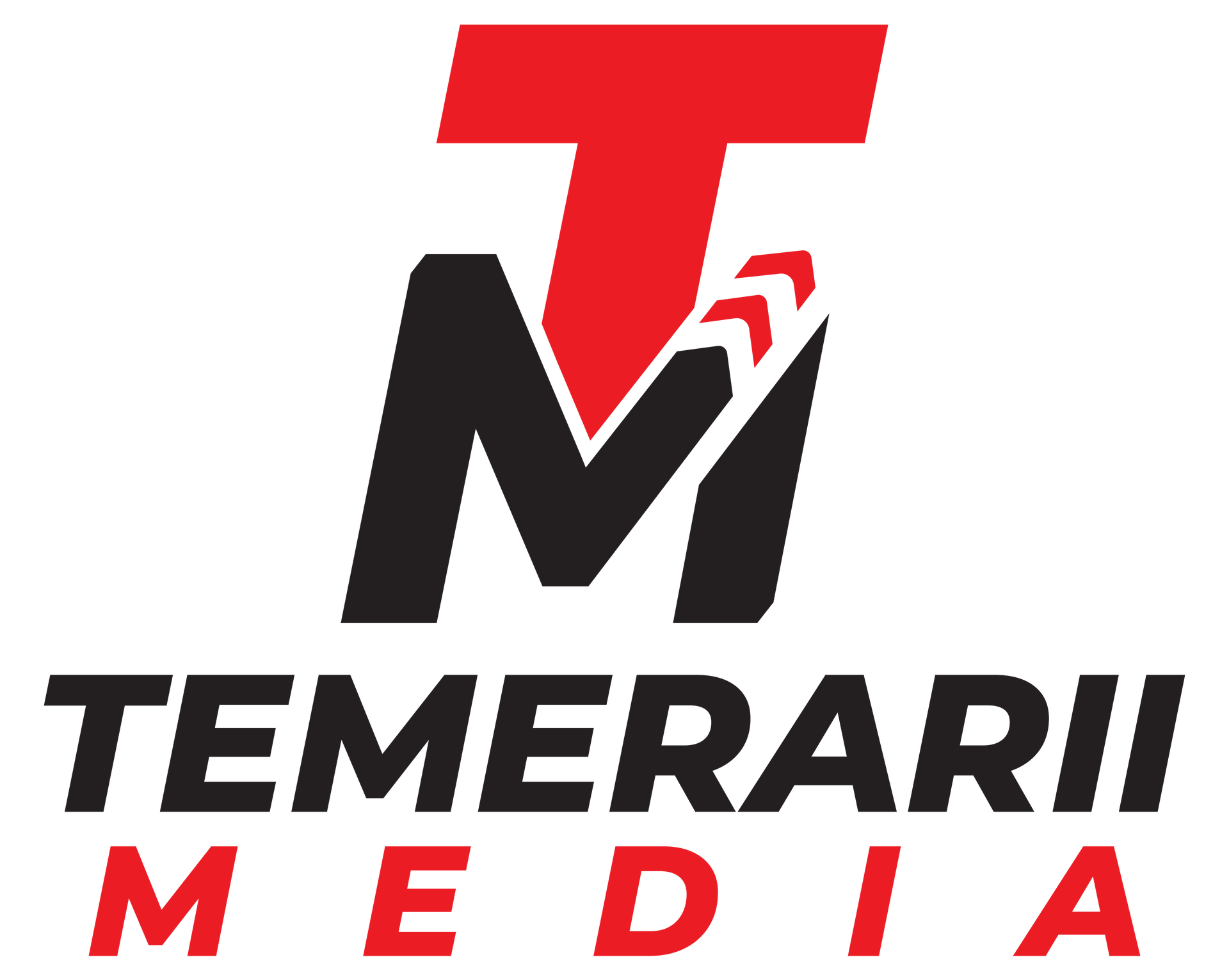 A logo for a company called temerarii media