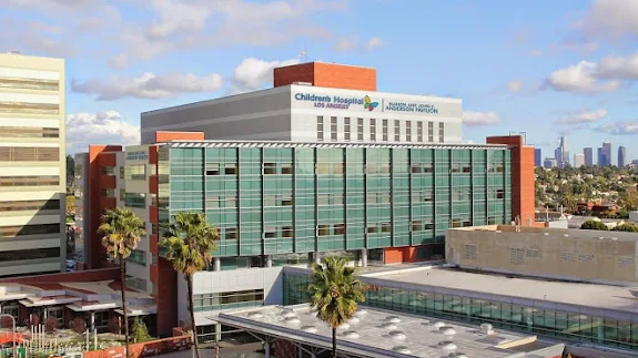 Modern glass hospital building with a rooftop sign, palm trees, and city skyline at sunset