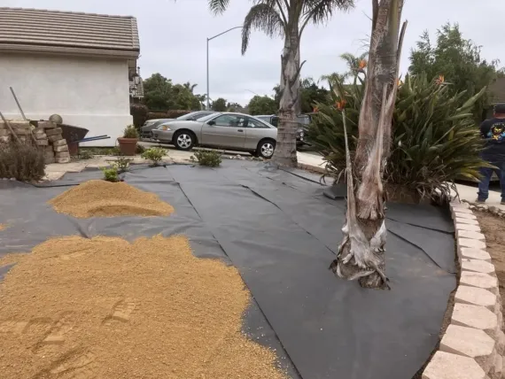 A car is parked in a driveway next to a palm tree