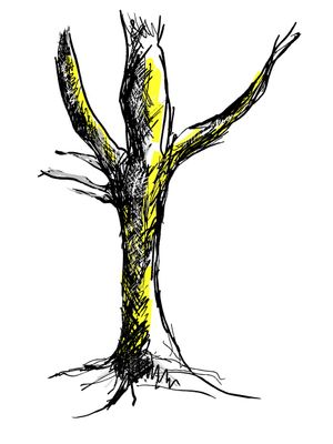 A black and yellow drawing of a tree without leaves on a white background.