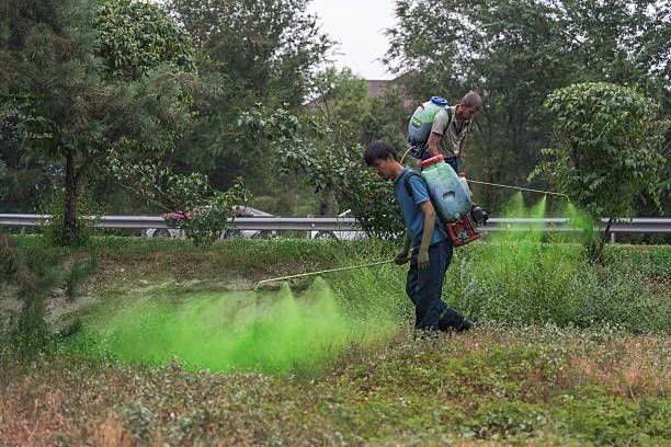 Workers spray green hydroseed on a slope with straw logs.
