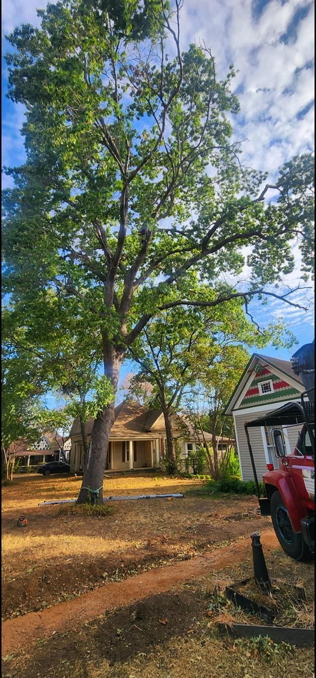 Tall tree in front of several houses on a sunny day. Red vehicle in the right corner.