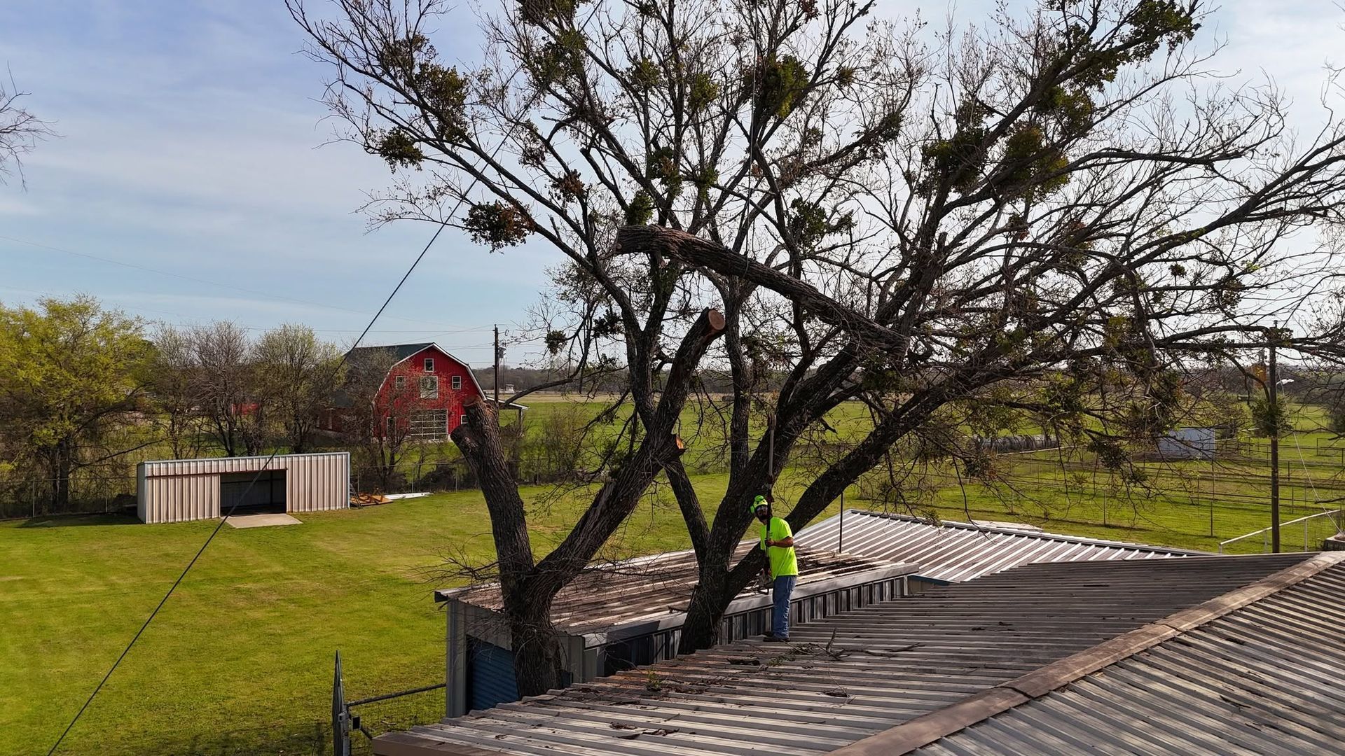 Backyard with a leafless tree, white lounge chairs, and a wooden deck overlooking a grassy field