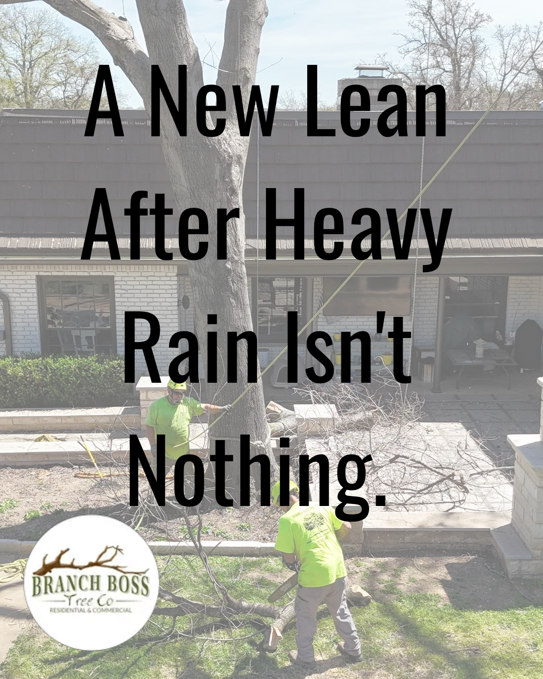 Gardener trimming shrubs in a rain-soaked cemetery; text reads, “A New Lean After Heavy Rain Isn’t Nothing.”
