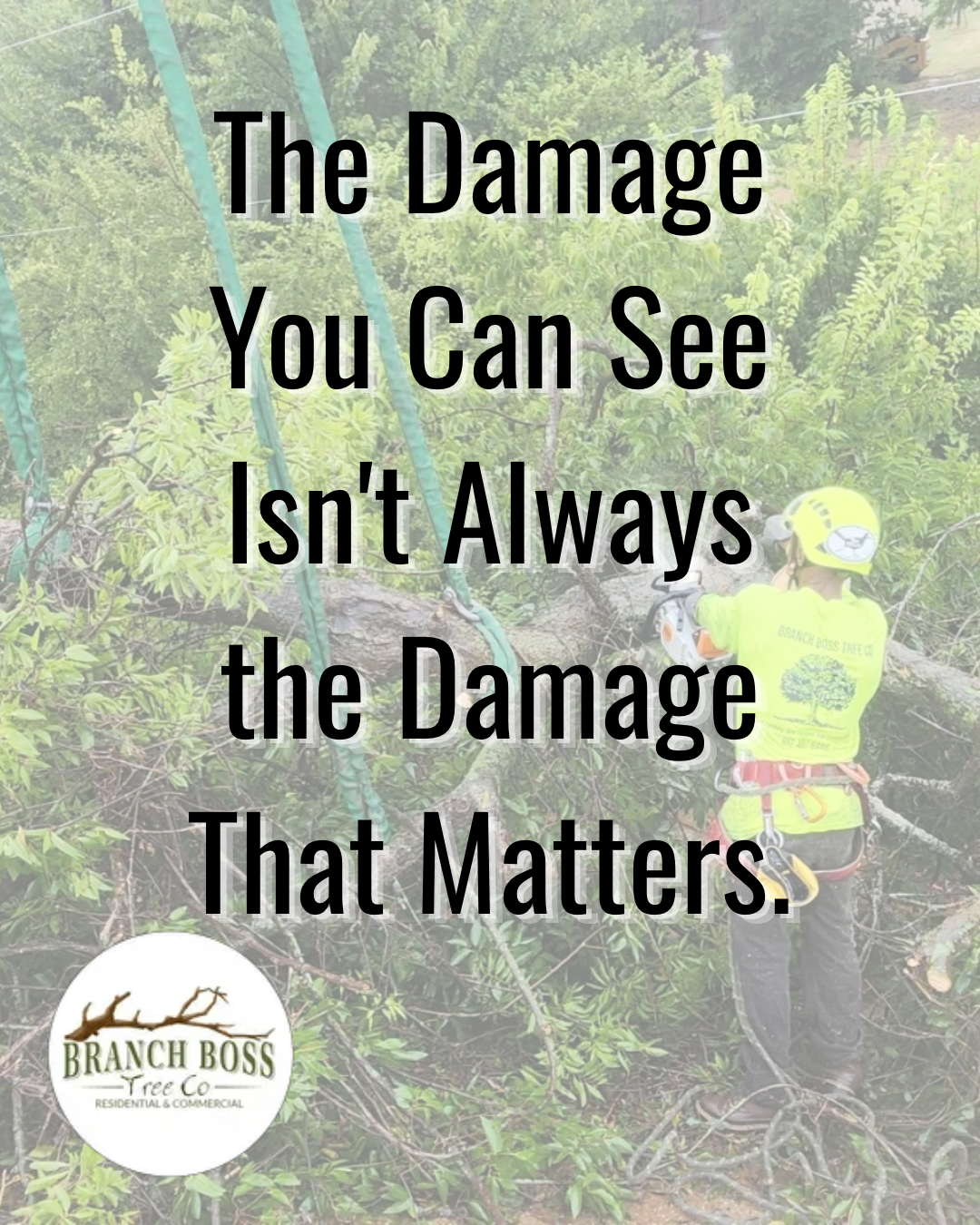 Overgrown wooded trail with a worker in a yellow hard hat and text: “The Damage You Can See Isn’t Always the Damage That Matters.”