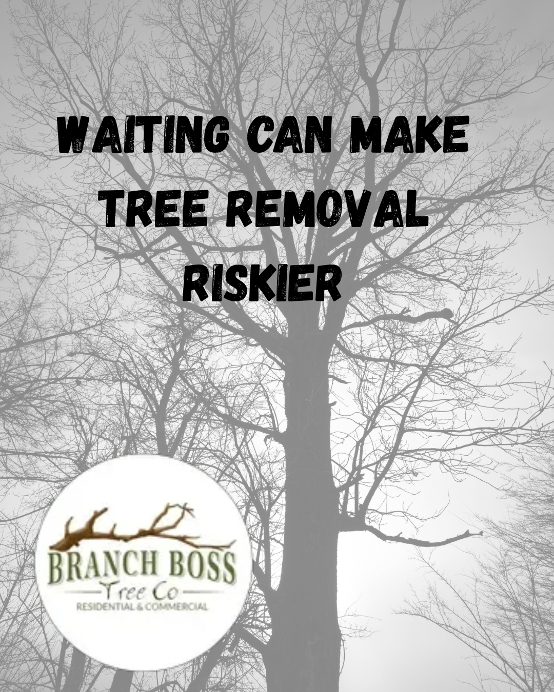 Foggy tree silhouette with text: “Waiting can make tree removal riskier” and Branch Boss Tree Co. logo.