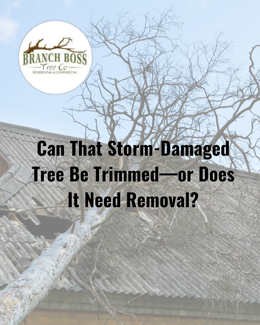 Storm-damaged tree beside a roof with text: “Can That Storm-Damaged Tree Be Trimmed—or Does It Need Removal?”
