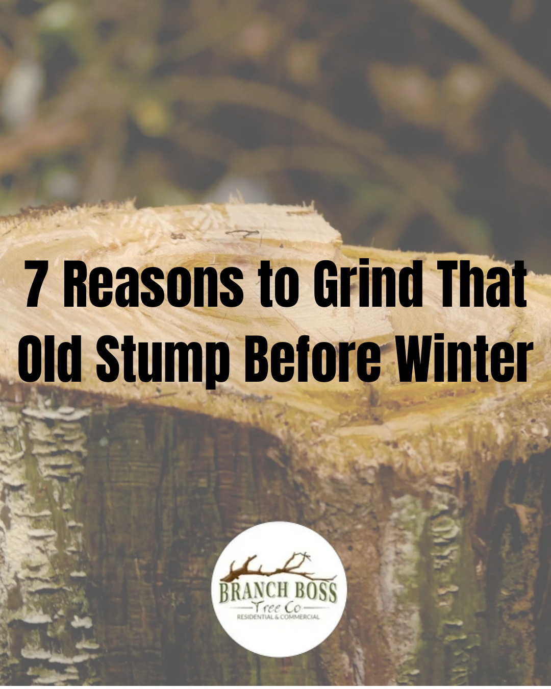 Text on a tree stump: “7 Reasons to Grind That Old Stump Before Winter,” with Branch Boss logo.
