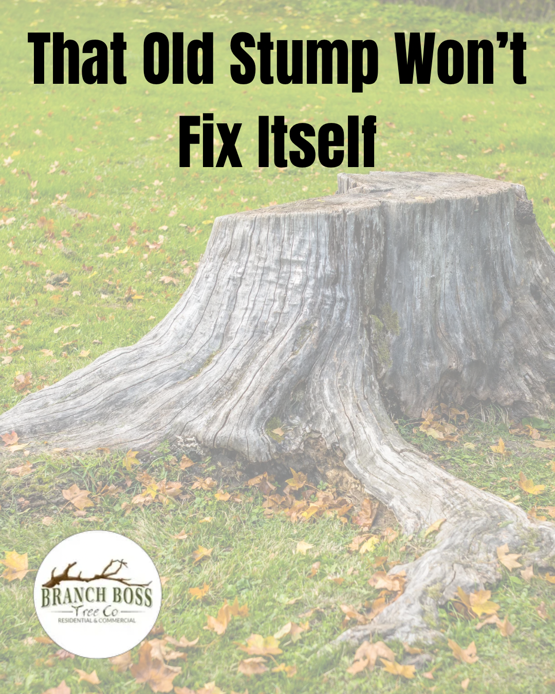 Large gray tree stump on grass with text: “That Old Stump Won’t Fix Itself.”