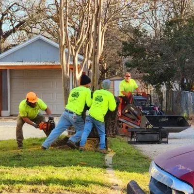 Tree service crew cutting a tree near a residential building. Men wear neon shirts and hats, using chainsaws and equipment.