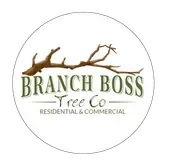 Branch Boss Tree Co Branch Boss Tree Co. logo: brown tree branch over green text on a white circular background.
