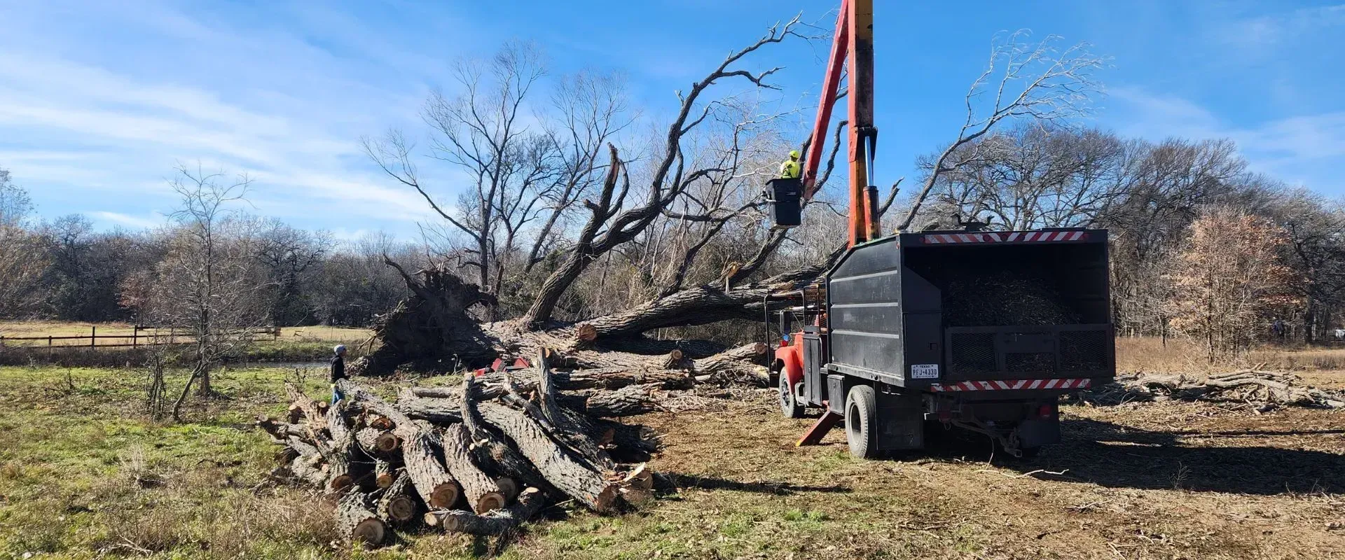 Excavator loading cut tree logs into a truck in a grassy field on a sunny day