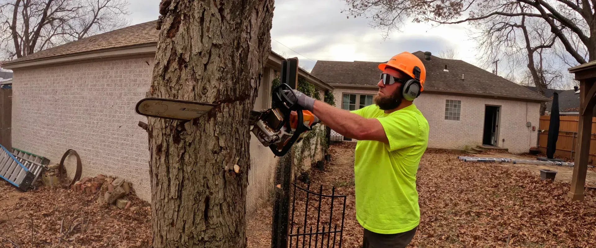 Man in safety gear using a chainsaw to cut a tree in a backyard.