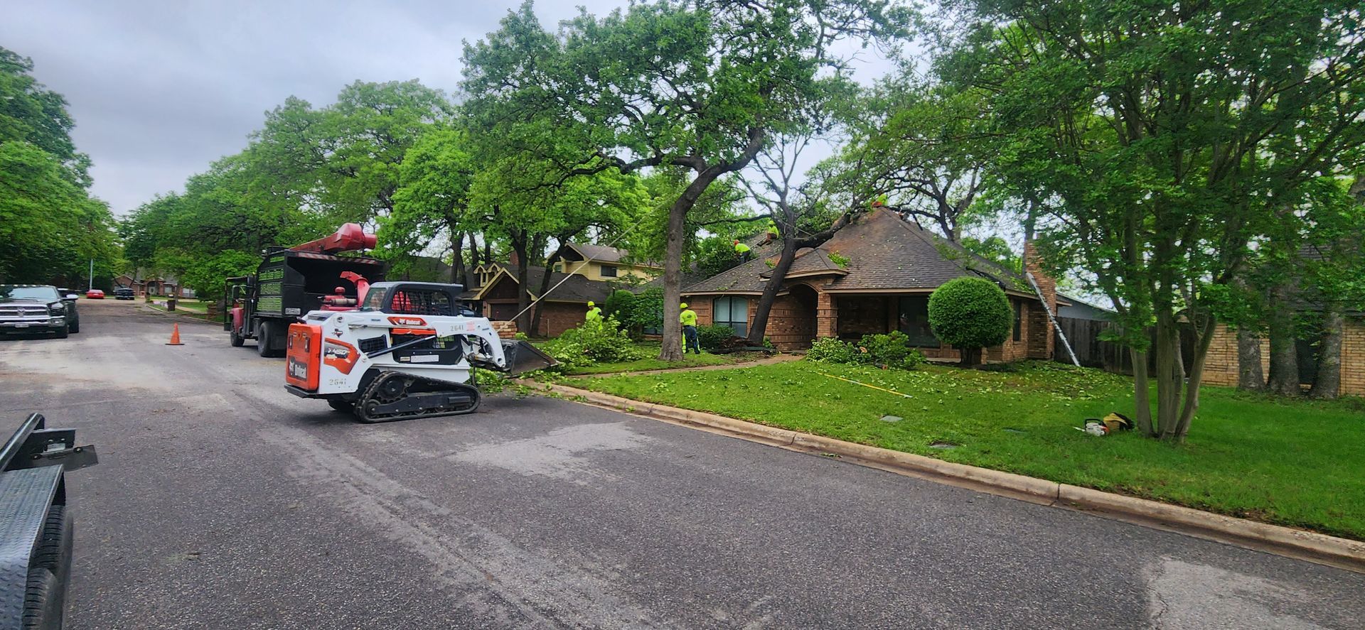 Branch Boss Tree Co. providing professional tree care in Cleburne, TX.